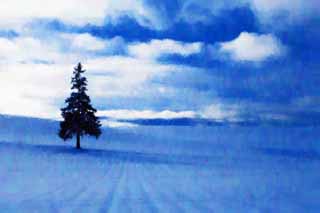 Illust, materieel, vrij, landschap, schilderstuk, schilderstuk, kleuren potlood, crayon, werkje,Een snowy veld van een Kerst boom, Besneeuwd veld, Wolk, Boom, Blauwe lucht