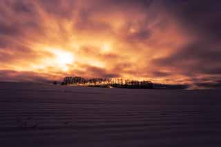 photo,material,free,landscape,picture,stock photo,Creative Commons,Dusk of a snowy field, snowy field, cloud, tree, The sun