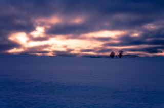 Foto, materiell, befreit, Landschaft, Bild, hat Foto auf Lager,Dmmerung eines schneebedeckten Feldes, schneebedecktes Feld, Wolke, Baum, Die Sonne