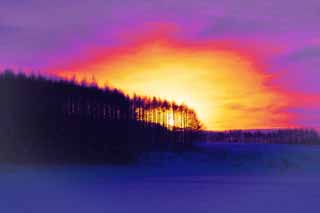 illust, materiale, libero panorama, ritratto dipinto, matita di colore disegna a pastello, disegnando,Crepuscolo di un campo nevoso, campo nevoso, nube, albero, Il sole