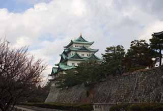 Foto, materieel, vrij, landschap, schilderstuk, bevoorraden foto,Nagoya-jo Kasteel, Moordenaar walvis snoek, Kasteel, Het kasteel toren, 