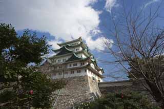 Foto, materieel, vrij, landschap, schilderstuk, bevoorraden foto,Nagoya-jo Kasteel, Moordenaar walvis snoek, Kasteel, Het kasteel toren, 