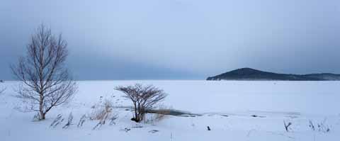 Foto, materiell, befreit, Landschaft, Bild, hat Foto auf Lager,Winter des Sees Saroma, See, Weie Birke, Es ist schneebedeckt, pond roch
