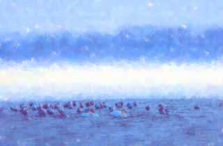 illustration,material,free,landscape,picture,painting,color pencil,crayon,drawing,Winter of Tohfutsu lake, swan, gull, Lake toe Hutu, It is snowy