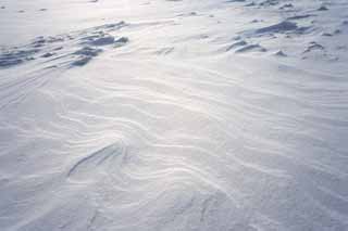 photo,material,free,landscape,picture,stock photo,Creative Commons,A snowy wind-wrought pattern on the sands, wind-wrought pattern on the sands, snowy field, Wind, 