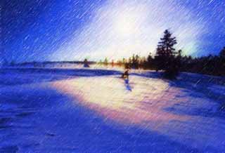 illust, materiale, libero panorama, ritratto dipinto, matita di colore disegna a pastello, disegnando,Alberi di un campo nevoso, campo nevoso, conifera, Il sole, Io ho freddo