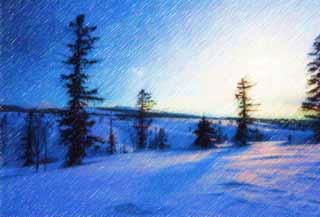 illustration,material,free,landscape,picture,painting,color pencil,crayon,drawing,Trees of a snowy field, snowy field, conifer, The sun, I am cold