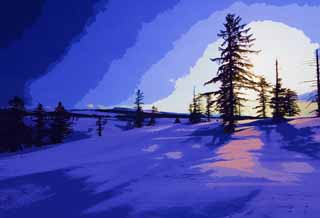 Illust, materieel, vrij, landschap, schilderstuk, schilderstuk, kleuren potlood, crayon, werkje,Bomen van een snowy veld, Besneeuwd veld, Naaldboom, De zon, Ik ben koud