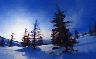 illust, materiale, libero panorama, ritratto dipinto, matita di colore disegna a pastello, disegnando,Alberi di un campo nevoso, campo nevoso, conifera, Il sole, Io ho freddo