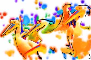 Illust, materieel, vrij, landschap, schilderstuk, schilderstuk, kleuren potlood, crayon, werkje,Een toerbeurt van de pelikaanen, , Pelikaan, Bill, 