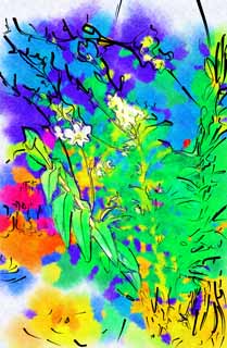 illust, materiale, libero panorama, ritratto dipinto, matita di colore disegna a pastello, disegnando,Un'orchidea di una riva, , Un'orchidea, , cascata