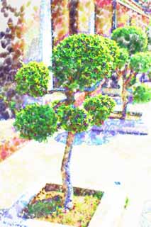illustration,material,free,landscape,picture,painting,color pencil,crayon,drawing,A garden plant of Wat Suthat, temple, bonsai, garden plant, Bangkok