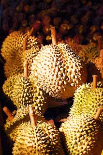 illust, , , , , ,  ,  , .,durian, , , durian, 
