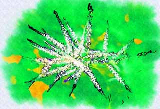 illust, materiale, libero panorama, ritratto dipinto, matita di colore disegna a pastello, disegnando,Un fiore bianco, Bianco, petalo, Green, foglia