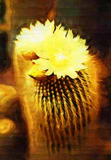 illustration,material,free,landscape,picture,painting,color pencil,crayon,drawing,A yellow flower of a cactus, , cactus, , 