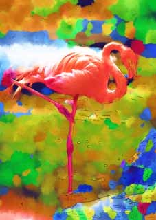 Illust, materieel, vrij, landschap, schilderstuk, schilderstuk, kleuren potlood, crayon, werkje,Een flamingo, , Flamingo, Rose, 