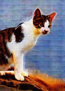 illustration,material,free,landscape,picture,painting,color pencil,crayon,drawing,Cool cat, cat, , , 