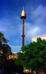 fotografia, material, livra, ajardine, imagine, proveja fotografia,Sydney Tower, cu azul, torre, rvore, 