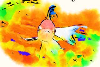 illust, material, livram, paisagem, quadro, pintura, lpis de cor, creiom, puxando,Mdio de um guindaste branco com uma crista vermelha, barbatana, peixe-vermelho, Um peixe de admirao, Vermelho e branco