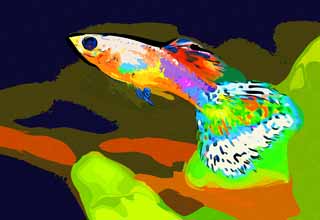 illust, matire, libre, paysage, image, le tableau, crayon de la couleur, colorie, en tirant,Un guppy, Poisson tropique, Un poisson de l'admiration, Bleu, Rouge