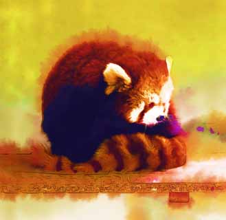 illustration,material,free,landscape,picture,painting,color pencil,crayon,drawing,Lesser panda, Panda, I am pretty, popular person, tail
