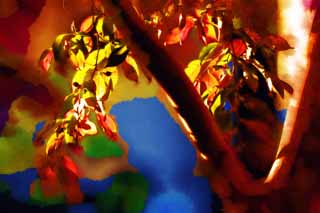 illust, materiell, befreit, Landschaft, Bild, Gemlde, Farbbleistift, Wachsmalstift, Zeichnung,,Die farbigen Bltter, die leuchten, Tote Bltter, Rot, Herbstliche Landschaft, Frbte Bltter