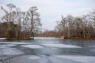 foto,tela,gratis,paisaje,fotografa,idea,Una superficie de un lago de la temperatura de congelacin, Hielo, Lago, Lake Onuma, Temperatura de congelacin