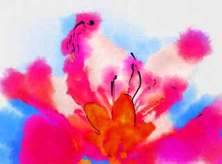illust, materiale, libero panorama, ritratto dipinto, matita di colore disegna a pastello, disegnando,Respirazione profonda e colore rosa, pesca, , , fiore