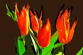 illust, materiale, libero panorama, ritratto dipinto, matita di colore disegna a pastello, disegnando,Estate, , tulipano, petalo, In primavera