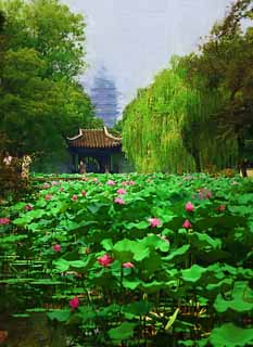 illust, materiale, libero panorama, ritratto dipinto, matita di colore disegna a pastello, disegnando,Zhuozhengyuan, stagno, loto, , giardino
