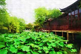 illust, , , , , ,  ,  , .,36 mandarin ducks  Zhuozhengyuan, , 36 mandarin ducks , , 