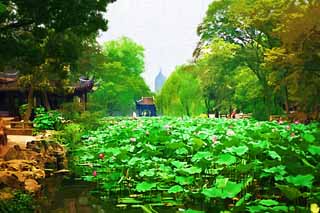 illustration,material,free,landscape,picture,painting,color pencil,crayon,drawing,Zhuozhengyuan, pond, lotus, , garden