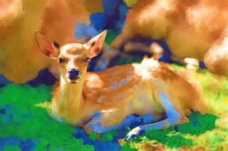 illust, materiale, libero panorama, ritratto dipinto, matita di colore disegna a pastello, disegnando,Un cervo di Nara, , cervo, , Bambi