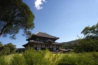 Foto, materiell, befreit, Landschaft, Bild, hat Foto auf Lager,Der Todai-ji-Tempel Hall vom groen Buddha, groe Statue von Buddha, hlzernes Gebude, Buddhismus, Tempel