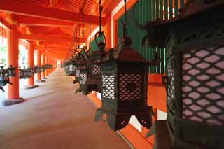 Foto, materieel, vrij, landschap, schilderstuk, bevoorraden foto,Kasuga Taisha Shrine corridor, Shinto, Shinto heiligdom, Ik word in rood geschilderd, Tuinier lantaarn