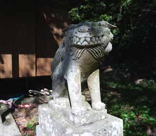 Foto, materieel, vrij, landschap, schilderstuk, bevoorraden foto,Een tweetal van stenige beschermer honden van Goto, Tweetal van stenige beschermer honden, Top hond, Shinto heiligdom, Shinto