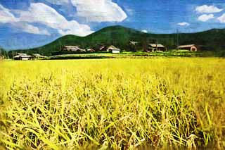 illustration,material,free,landscape,picture,painting,color pencil,crayon,drawing,An ear of rice grows, Rice, , , 