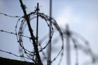 photo,material,free,landscape,picture,stock photo,Creative Commons,Refusal, Barbed wire, wall, morning glory, trumpet