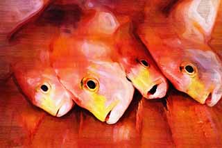 illust, materiale, libero panorama, ritratto dipinto, matita di colore disegna a pastello, disegnando,Il rosso del comune marittimo, Thailandia, comune marittimo, , i pesci fanno compere