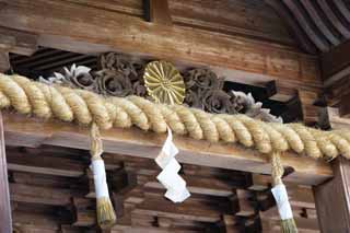 Foto, materieel, vrij, landschap, schilderstuk, bevoorraden foto,Kompira-san Shrine Hongu decoratie, Shinto heiligdom Boeddhist tempel, Chrysant, Van hout gebouw, Shinto