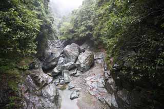 photo,material,free,landscape,picture,stock photo,Creative Commons,Rainy ravine, huge stone, river, forest, Ravine