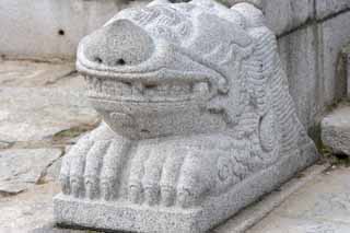 fotografia, material, livra, ajardine, imagine, proveja fotografia,Uma esttua de pedra de Kunjongjon, apedreje esttua, Um animal, Escadarias, escultura