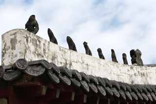 foto,tela,gratis,paisaje,fotografa,idea,La idea descuidada del mausoleo ancestral de la familia imperial, , Buddhism, Percal, Tang