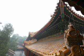 photo,material,free,landscape,picture,stock photo,Creative Commons,Summer Palace cloud of exhaust buttocks, Roof, Tile, Architecture, World Heritage