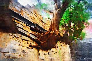 illustration,material,free,landscape,picture,painting,color pencil,crayon,drawing,Ling constant Ishigaki, Ishigaki, Wall, Trees, World Heritage