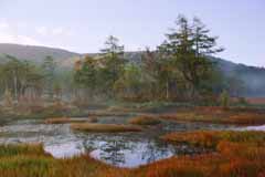 photo,material,free,landscape,picture,stock photo,Creative Commons,Autumn of the marshland, pond, tree, mountain, fog