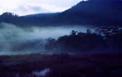 photo, la matire, libre, amnage, dcrivez, photo de la rserve,Transportant indigo, ciel, arbre, montagne, brouillard