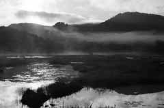 photo, la matire, libre, amnage, dcrivez, photo de la rserve,Surface d'un tang du matin, tang, arbre, montagne, brouillard