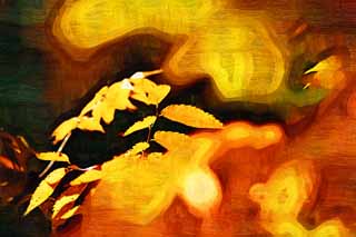 illust, materiale, libero panorama, ritratto dipinto, matita di colore disegna a pastello, disegnando,Zelkova modificando i colori, Giallo, Foglie, Vena di foglia, Colore di autunno
