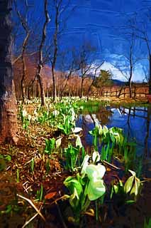 illustration,material,free,landscape,picture,painting,color pencil,crayon,drawing,Skunk Cabbage waterside, White Arum, To tropical ginger, Skunk Cabbage, Marshland